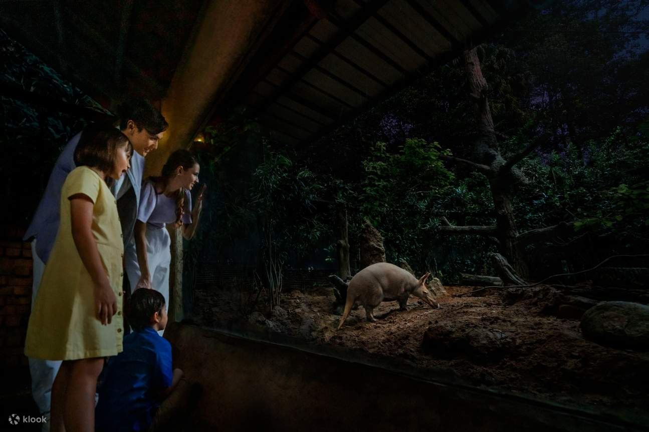東小屋步道 - 土豚